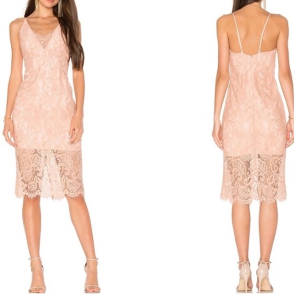 Bardot Blush Lace Dress - Picture 1 of 6